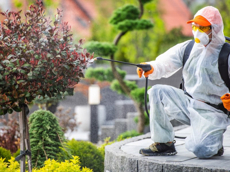 Ümraniye Haşere İlaçlama